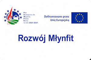 Dofinansowanie UE